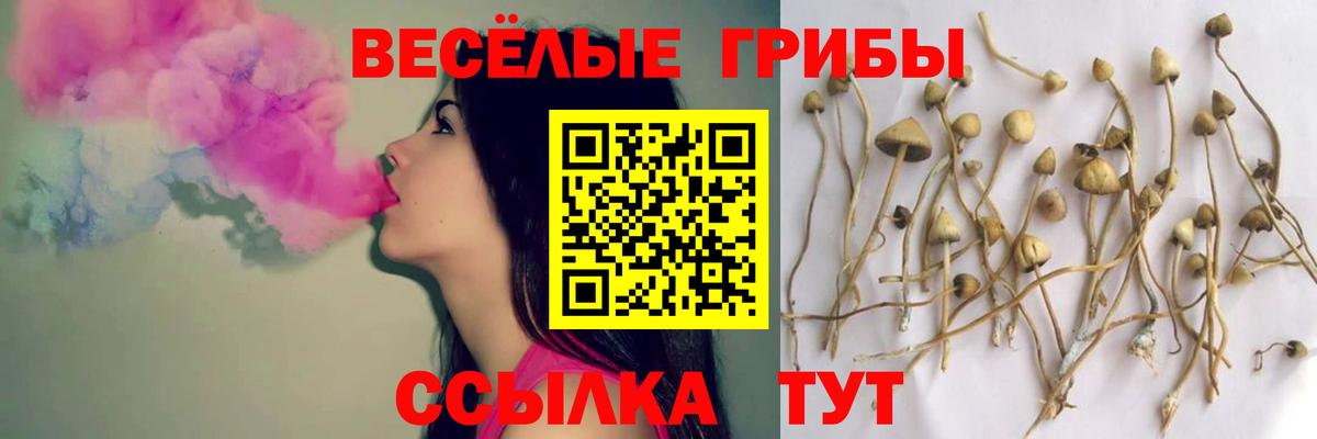 Псилоцибиновые грибы Magic Shrooms  Галлюциногенные грибы Psilocybe  наркота  Пушкино  Вход с VPN 